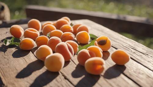 Apricots drying in the open sun on a wooden table.