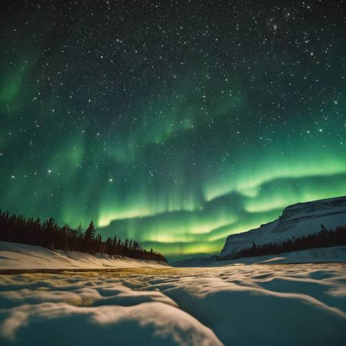 Bintang berkelap-kelip terlihat melalui garis-garis emas mengambang aurora borealis.