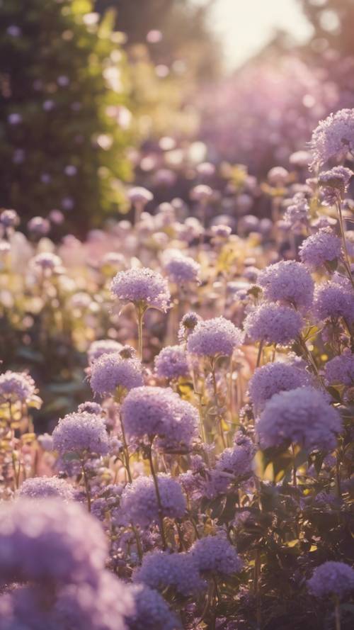 A pastel purple garden in full bloom during a sunny afternoon.
