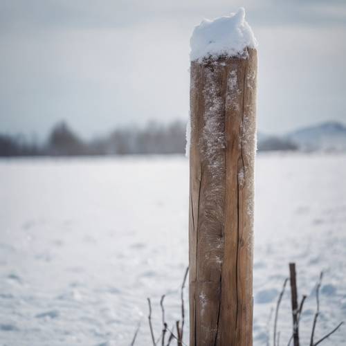 Un poteau en bois recouvert de fourrure, résistant aux vents hivernaux dans les plaines enneigées.