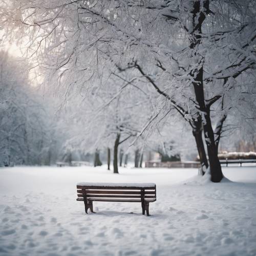 Una panchina di legno solitaria ricoperta di neve in un parco invernale silenzioso.