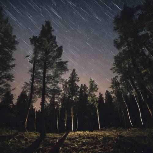 Una pioggia di meteoriti riempie il cielo di scie di luce sopra una foresta remota.