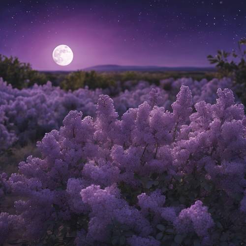 L&#39;interpretazione di un artista di una pianura lilla sotto il cielo notturno illuminato dalla luna piena.