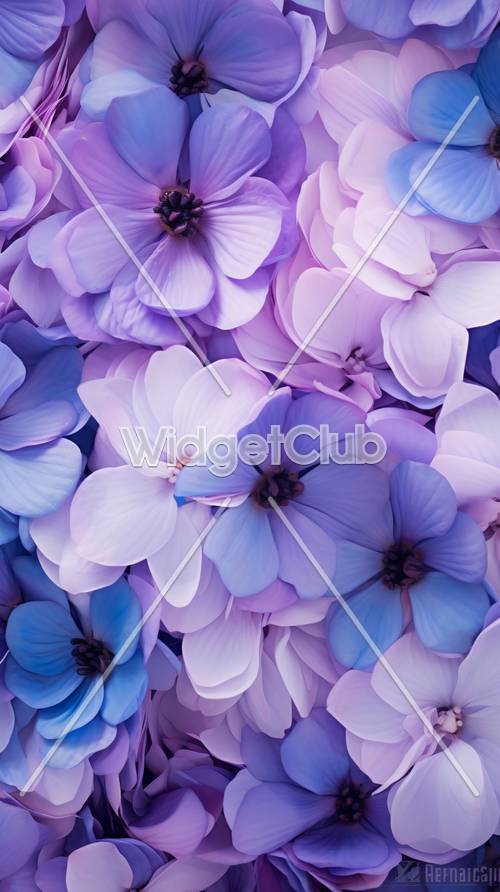 Purple Flowers in Soft Light