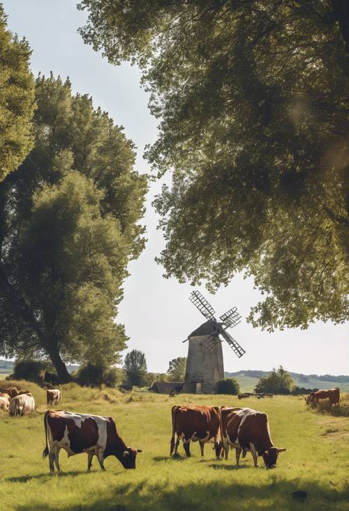 Pedesaan tradisional Perancis dengan sapi yang sedang merumput dan kincir angin pedesaan