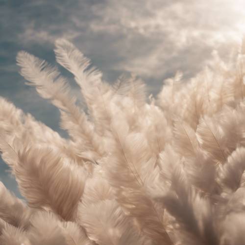 Beige cirrus clouds spread across the sky like feather dusters.