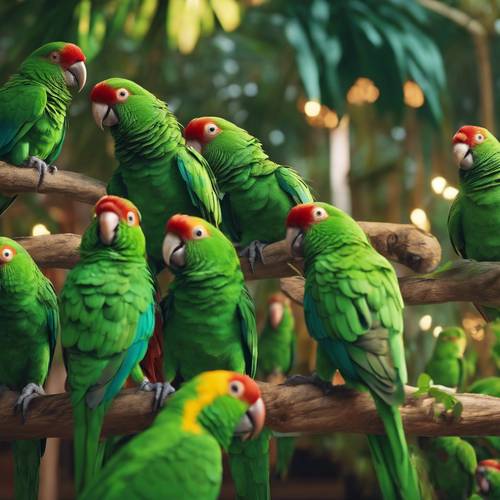 A group of green parrots dancing to funky tropical music