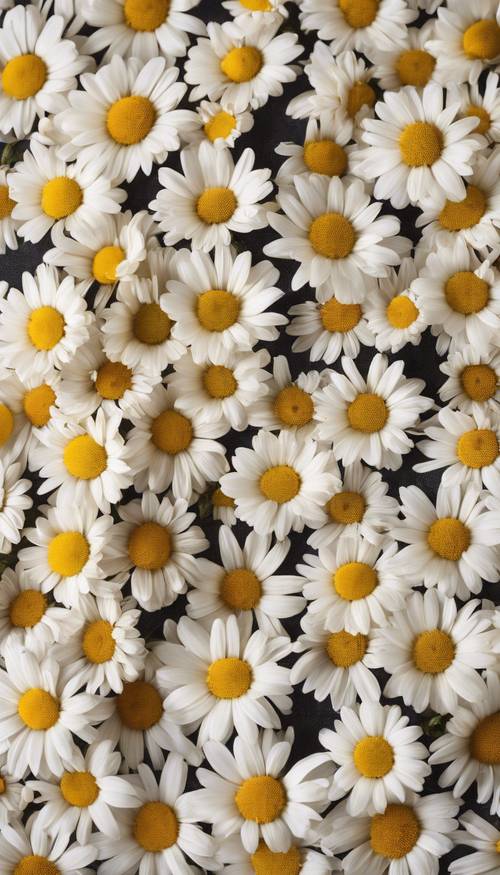 An array of yellow and white daisies scattered delicately over a boho patterned fabric.