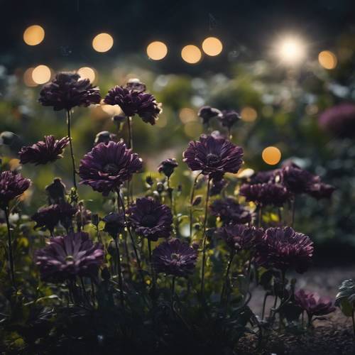 Ein unheimlich schöner Garten mit dunklen Blumen, die im Mondlicht leuchten.
