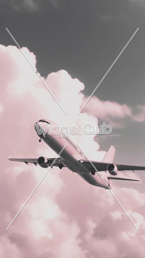 Lindo vôo de avião com céu rosa