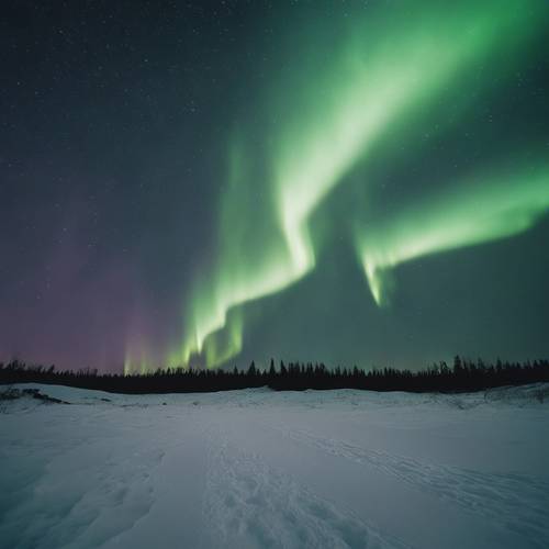Under the black, star-studded sky, the Northern Lights subtly making their appearance.