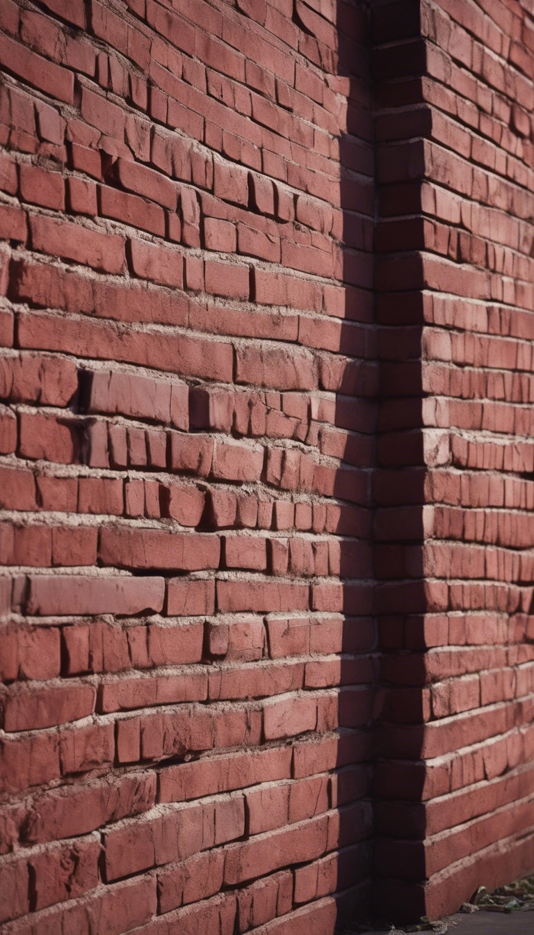 A burgundy brick wall under moonlight with shadows draped壁紙[a90b281cb8994c788cef]