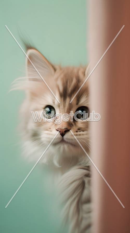 Cute Peekaboo Kitten