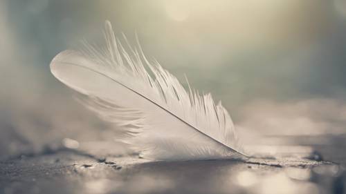 A feather floating gently in a calm breeze, with the words 'I let it go' inscribed on its veins. Tapetai [25a4f9e3e0c541d5bd74]