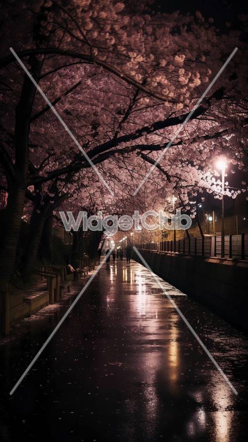 Cherry Blossoms at Night in a Serene Pathway