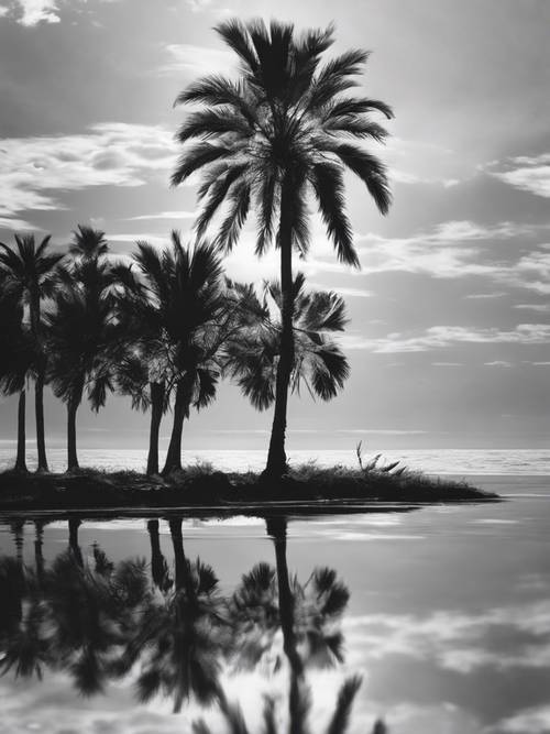 Black and white illustration of a palm tree reflected on a calm ocean.