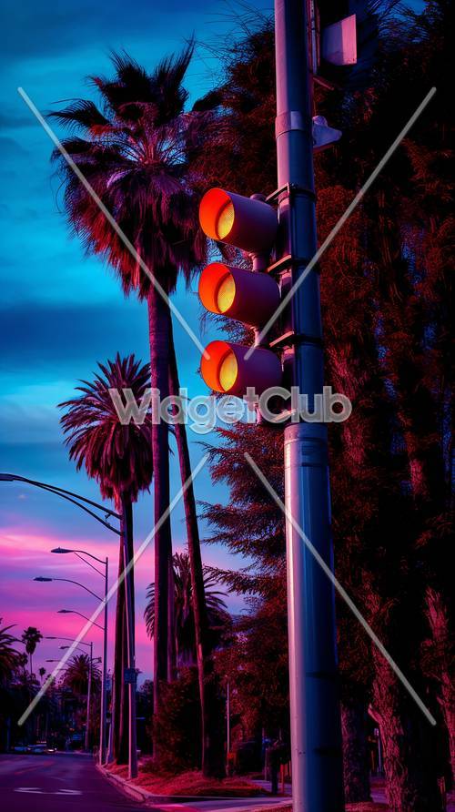 Bầu trời hoàng hôn đầy màu sắc với đèn giao thông và cây cọ
