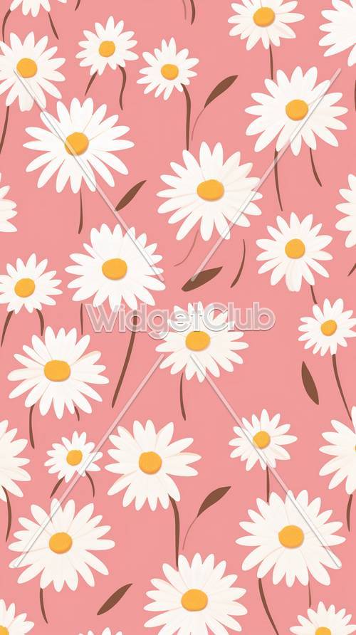 Daisy Delight in Pink Background