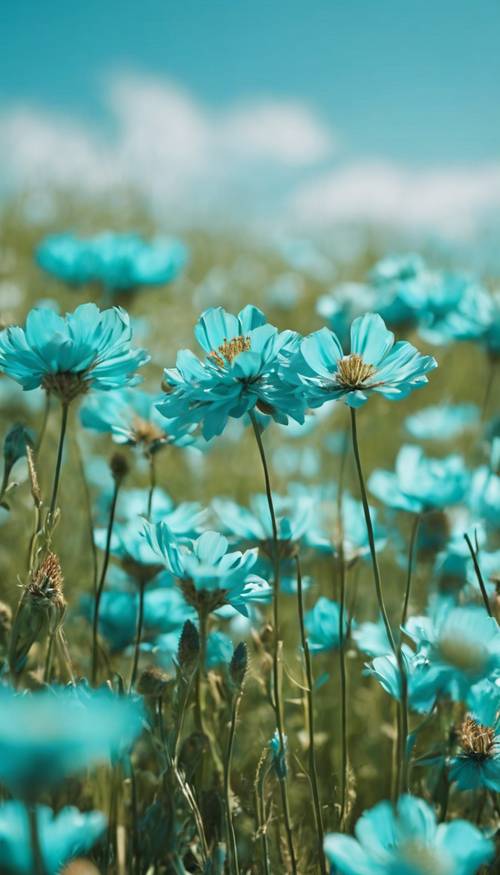Pole wypełnione hipnotyzującymi turkusowymi kwiatami pod czystym, błękitnym niebem.