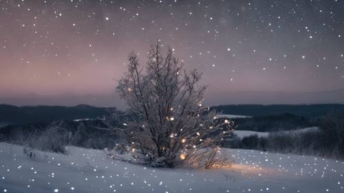 Sirius takımyıldızı kış gece yarısı gökyüzünde cesurca sergileniyordu.