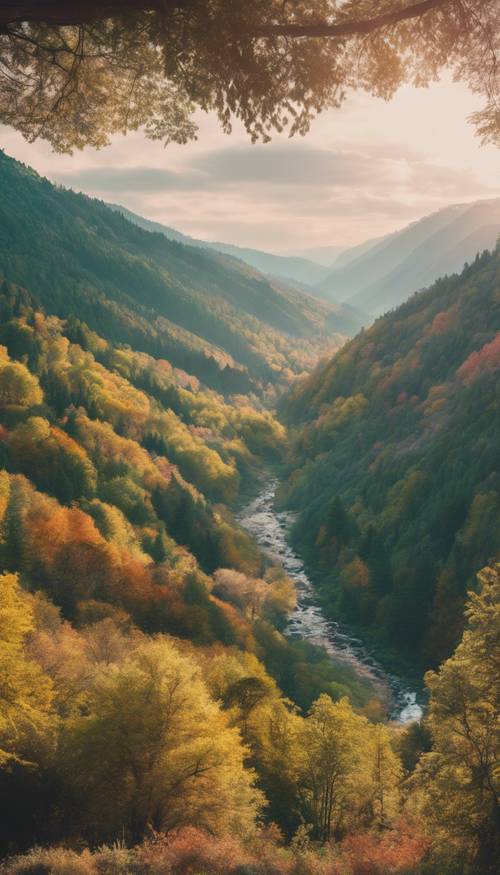 A forested valley between two boho-style mountains with colorful tapestry canopies. Валлпапер [20f7baee34044142b902]