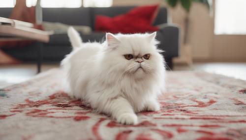 Un chat persan blanc et pelucheux affichant une expression de chasse féroce, poursuivant un point laser rouge sur un tapis du salon.