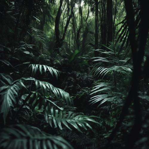 An abstract scene of a dark jungle, shades of black and dark greens blending together. Behang [25ad45635f414f79952b]