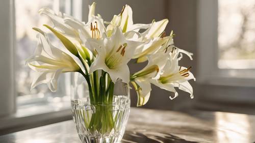 Rangkaian bunga lili Paskah yang indah dalam vas kristal tinggi di bawah sinar matahari pagi yang lembut