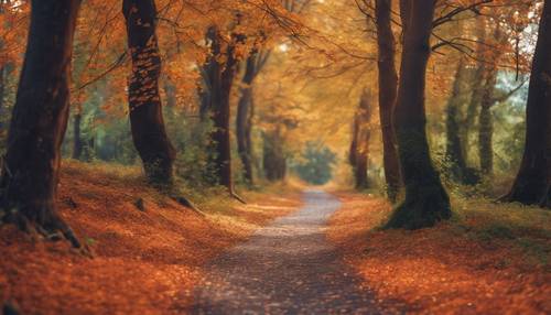 一条宁静的森林小路，两旁长满了鲜艳的秋叶。