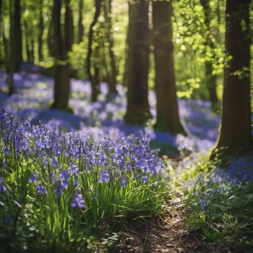 A secluded woodland glade peppered with bluebells under dappled sunlight.