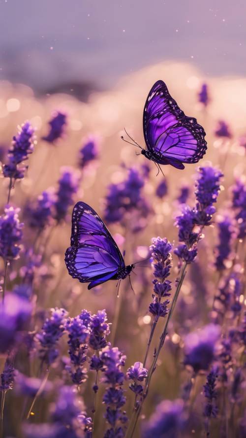 A spectacular sight of dark purple Kawaii-themed butterflies floating enthusiastically over a lavender field at dusk.