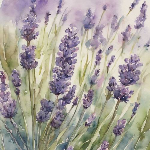Lukisan cat air antik bunga lavender yang sedang mekar.