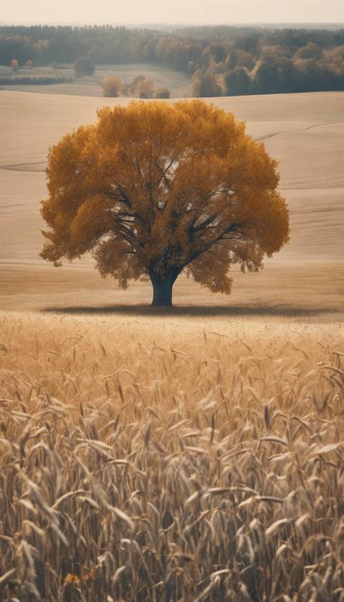 Uma árvore cinza solitária com folhas de outono em um campo de trigo dourado.