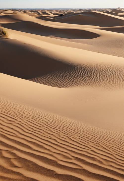 Pemandangan gurun dengan bukit pasir berwarna krem, langit biru cerah, dan bayangan menyempurnakan teksturnya.