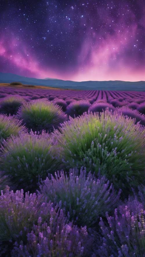 A picturesque landscape with lavender flowers under a green aurora in the night sky.