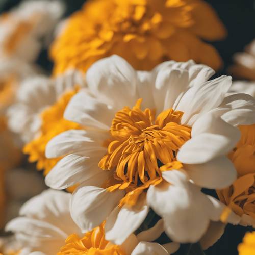 Narrow white stripes imposed on a marigold-yellow background Tapet [8cee6a8473814bdb8f16]