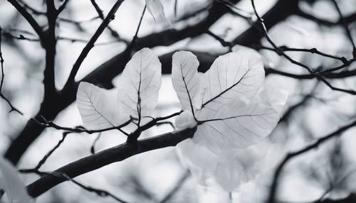 A pure white leaf, tangled amidst the strong lines of black tree branches
