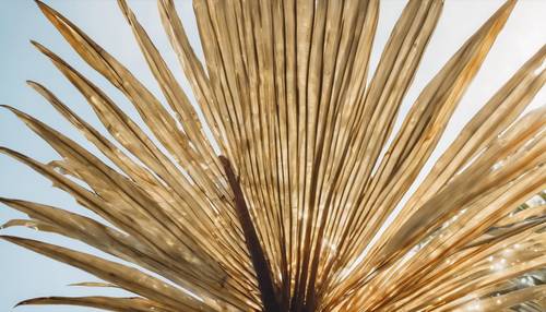 Look from below at the underside of a luminous golden palm leaf against a clear, pale sky.
