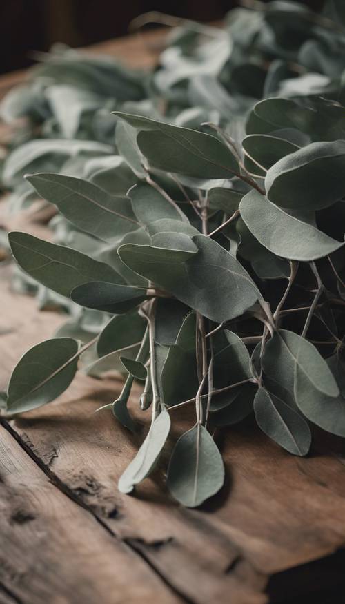 Paisajes otoñales: un ramo de hojas de eucalipto verde salvia descansando sobre una mesa de madera