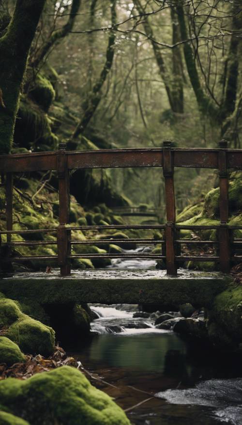Sebuah jembatan batu tua yang membentang di atas sungai kecil yang terletak jauh di dalam hutan gelap yang tertutup lumut.