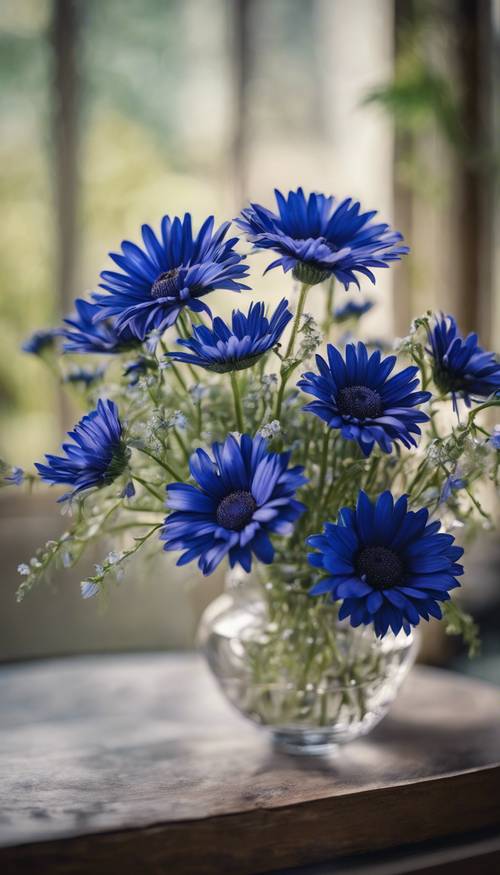 Kompozycja kwiatowa z bukietem królewskich niebieskich stokrotek.