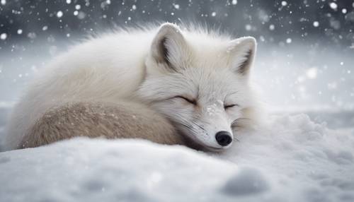 Una volpe artica rannicchiata e addormentata dolcemente in mezzo a una tempesta di neve