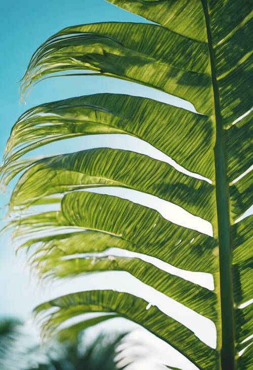 Heart-shaped green palm leaf against a clear blue sky.