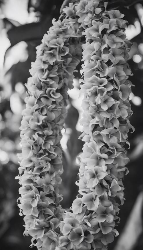 A grayscale picture of a Hawaiian lei with tropical flowers.