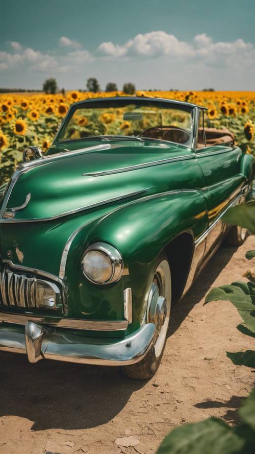 Sebuah mobil antik berwarna hijau zamrud diparkir di depan ladang bunga matahari pada sore hari.