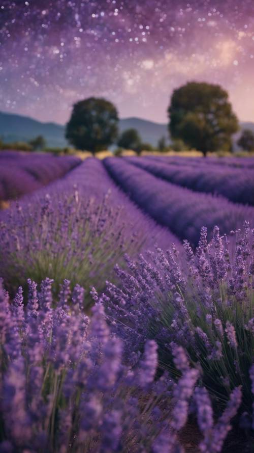 Une image d&#39;un champ de lavande paisible sous un ciel étoilé profond, les mots « En cas de doute, choisissez la paix » flottant dans le parfum de lavande dans l&#39;air.