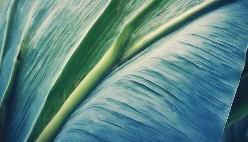 Gerçeküstü, rüya gibi bir görüntü yaratmak için dijital olarak maviye boyanmış bir muz yaprağı.