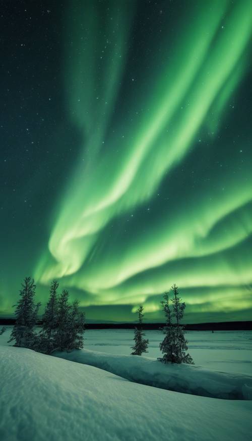 雄偉的深綠色北極光，在極地的天空中優雅地舞動。 牆紙 [0dd4d4557a1b4f47a15e]