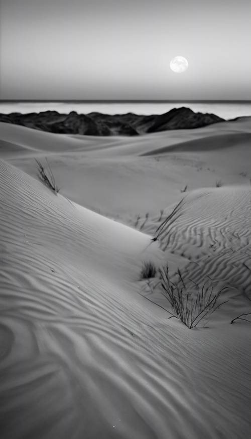 Windswept beach dunes under the shimmering moonlight, in shades of black and white.