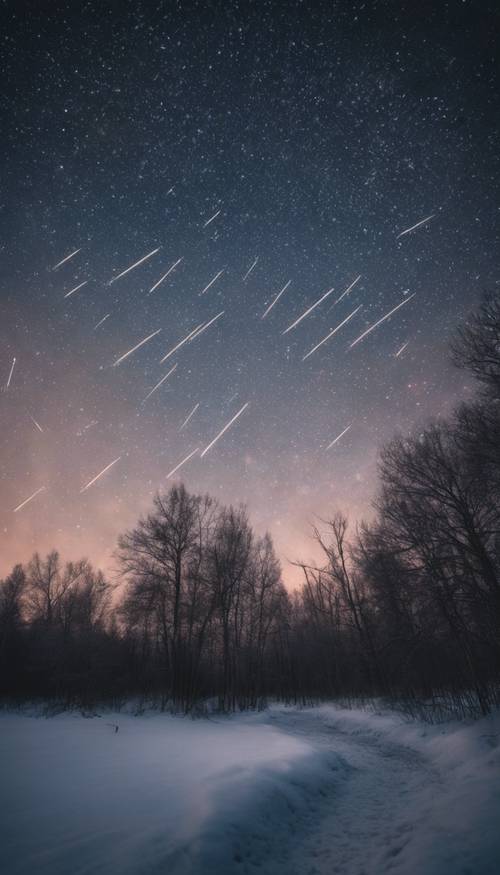 冬の夜空に流れる数個の流れ星の壁紙